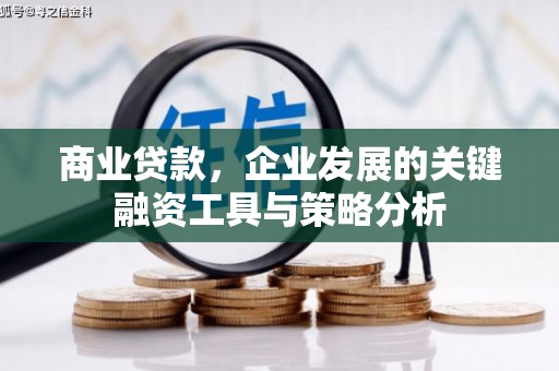 锦屏商业贷款，企业发展的关键融资工具与策略分析