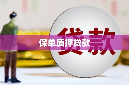 锦屏保单质押贷款