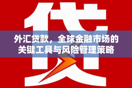 锦屏外汇贷款，全球金融市场的关键工具与风险管理策略