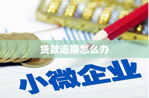 锦屏贷款逾期怎么办