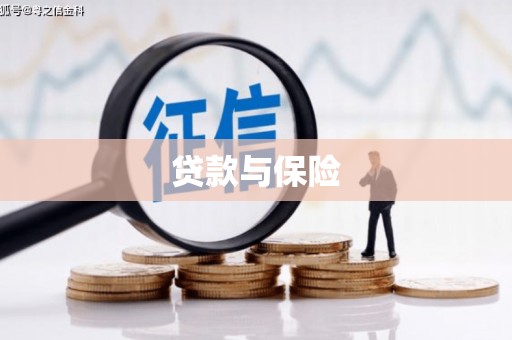锦屏贷款与保险