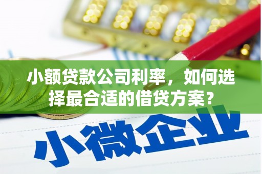 锦屏小额贷款公司利率，如何选择最合适的借贷方案？