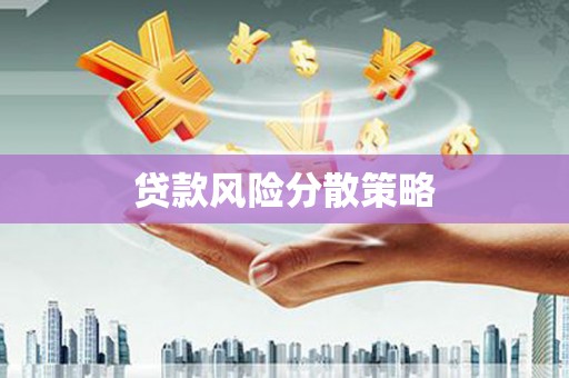 锦屏贷款风险分散策略