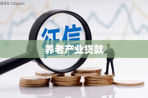 锦屏养老产业贷款