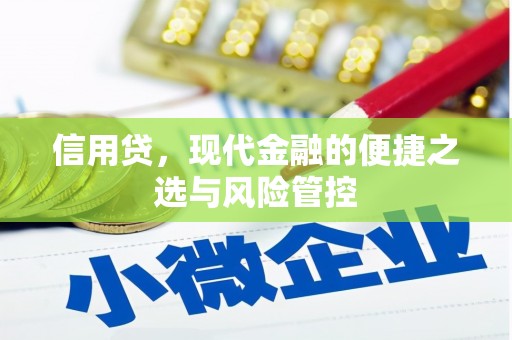 锦屏信用贷，现代金融的便捷之选与风险管控