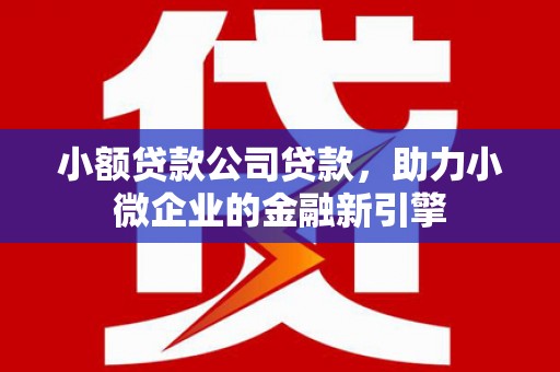锦屏小额贷款公司贷款，助力小微企业的金融新引擎