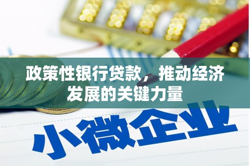 锦屏政策性银行贷款，推动经济发展的关键力量