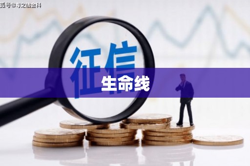 锦屏生命线