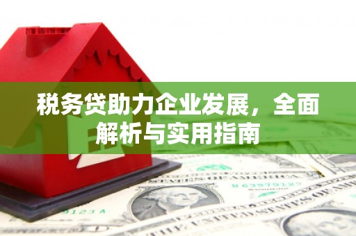 锦屏税务贷助力企业发展，全面解析与实用指南