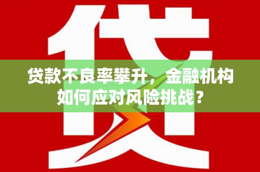锦屏贷款不良率攀升，金融机构如何应对风险挑战？