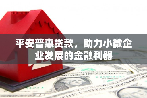 锦屏平安普惠贷款，助力小微企业发展的金融利器